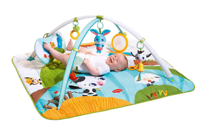 Tiny Love Gymini meilleur gymnase d'activités pour bébé