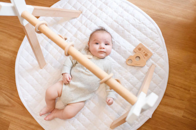 Gymnase d’activités : Wild Indiana Play Gym