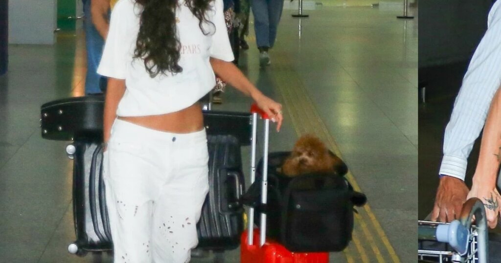 Perrengue avec pantoufles et adorable animal de compagnie : le retour de Bruna Marquezine et Shawn Mendes à Rio après le réveillon et beaucoup de romance à Alagoas