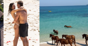 L'hôtel de luxe en Indonésie où Alessandra Ambrósio s'est fiancée : cœur de pétales, chevaux en mer et tarifs par nuit allant jusqu'à 80 000 R$